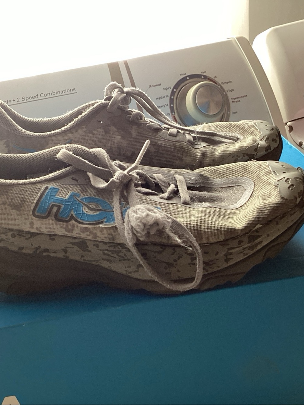 Hoka Kids Gray Sneakers with Blue Logo